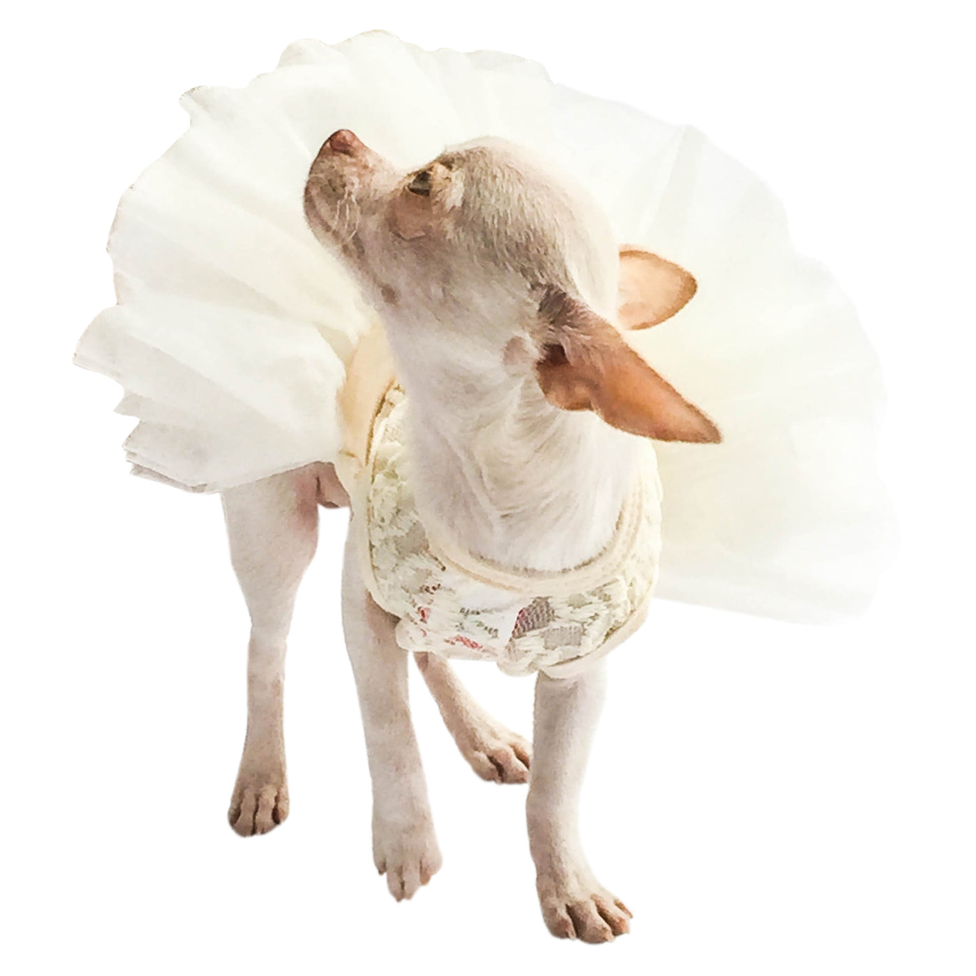 Ivory Hollywood Hologram Sequin Fufu Tutu