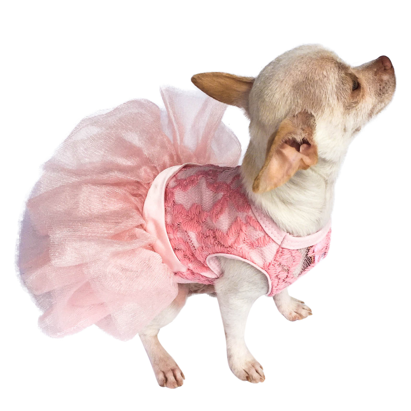 Fufu Tutu Dog Dress - Pink