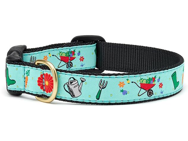 Garden Pawty Dog Collar