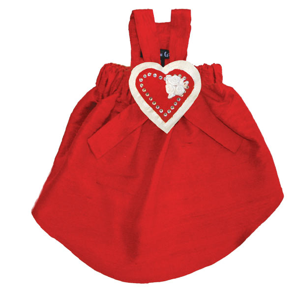 Holly Dog Dress - Choice of 4 Attachment's