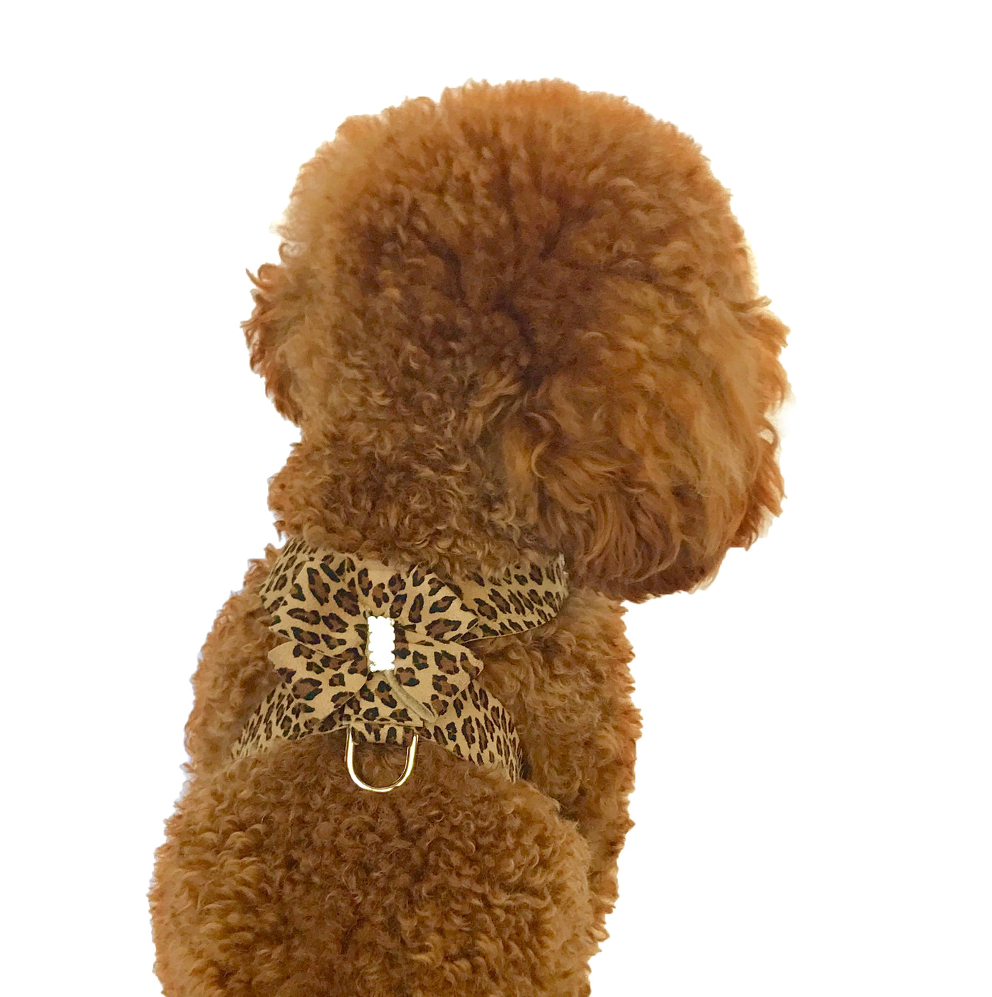 Hollywood Bow Dog Harness, Cheetah