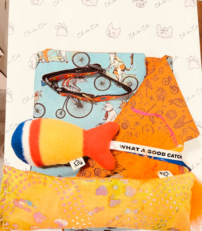 Colorful Cats Collar &  Cat Gift Box with 19 x 17 Catnip Mat