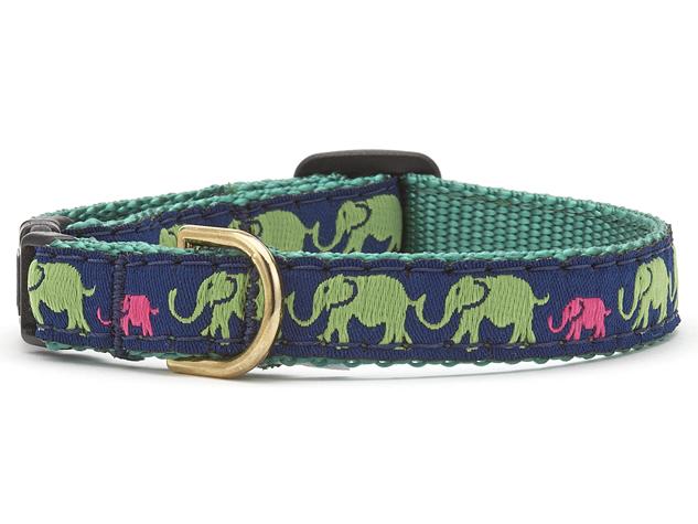 Leader of the Pach Cat Collar