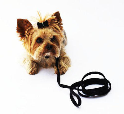 4' Ultra Suede Leash