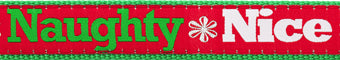 Naughty Nice Dog Harness