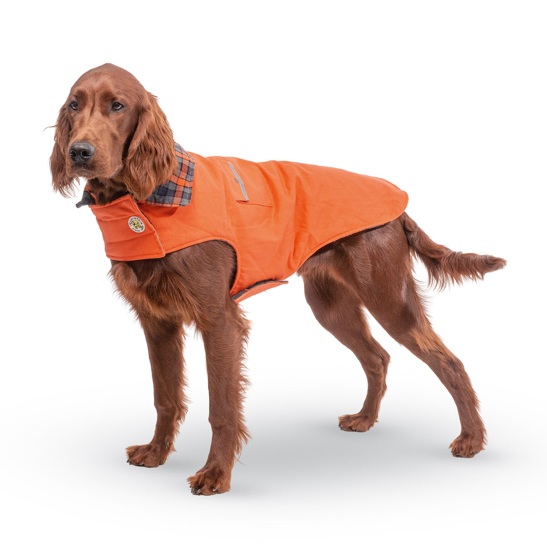 Orange Field Dog Coat