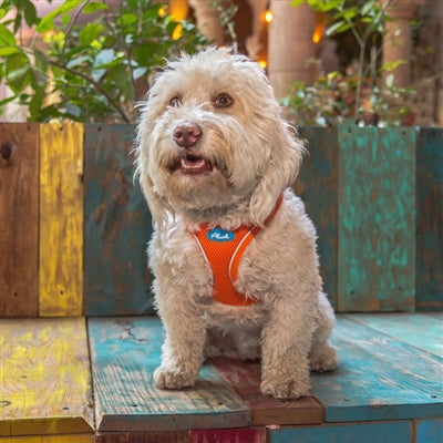 Orange Plush Step In Vest Air-Mesh Harness