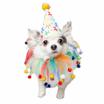 Celebration/Birthday Hat & Collar Set for Small Dogs