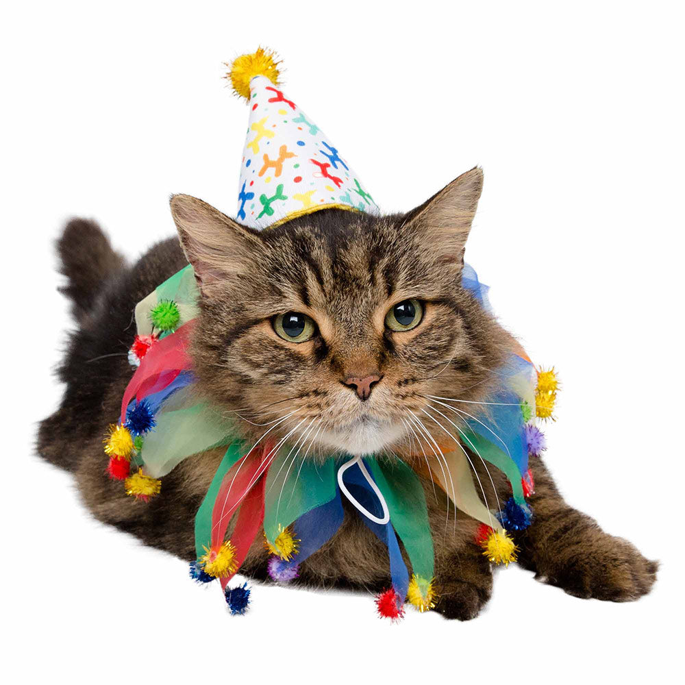 Celebration/Birthday Hat & Collar Set for Cats
