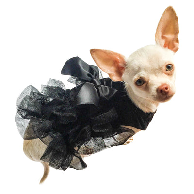 Red Carpet Ruffle Dress Black