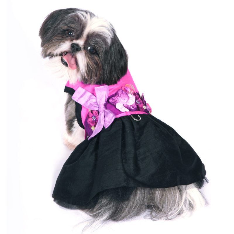 Kaitlin Silk Dog Harness Dress