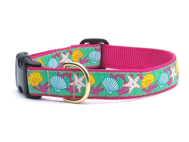 Reef  Dog Collar