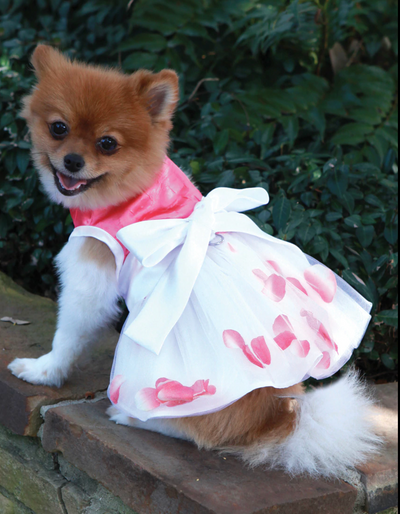 Flora Flower Petal Dog Dress