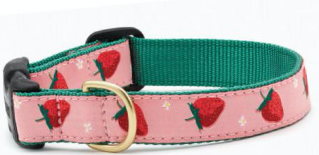 Strawberry Fields Dog Collar
