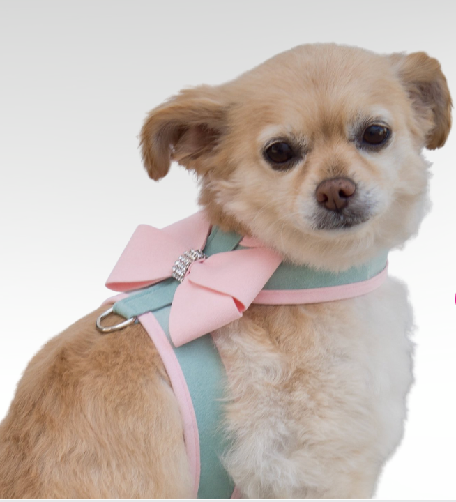 Susan Lanci Tinkie Dog Harness | Chloe Cole Pet Couture