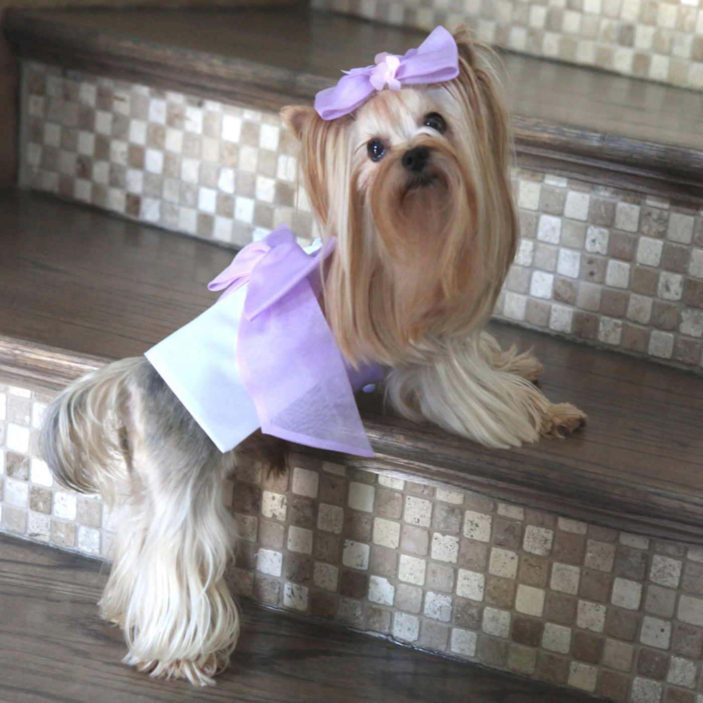 Lilac Flower and Pear Party Dress - Size S (Custom Order Available)