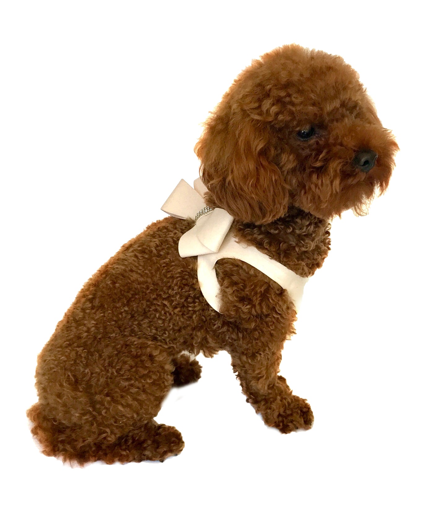 harness 1