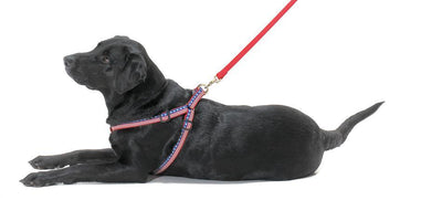 Red Black Paw Dog Harness