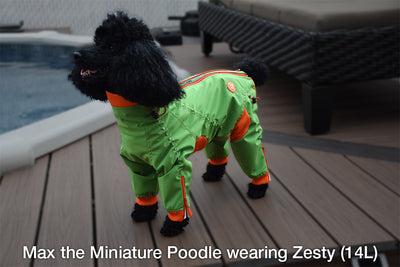 Edgy Dog Body Suit
