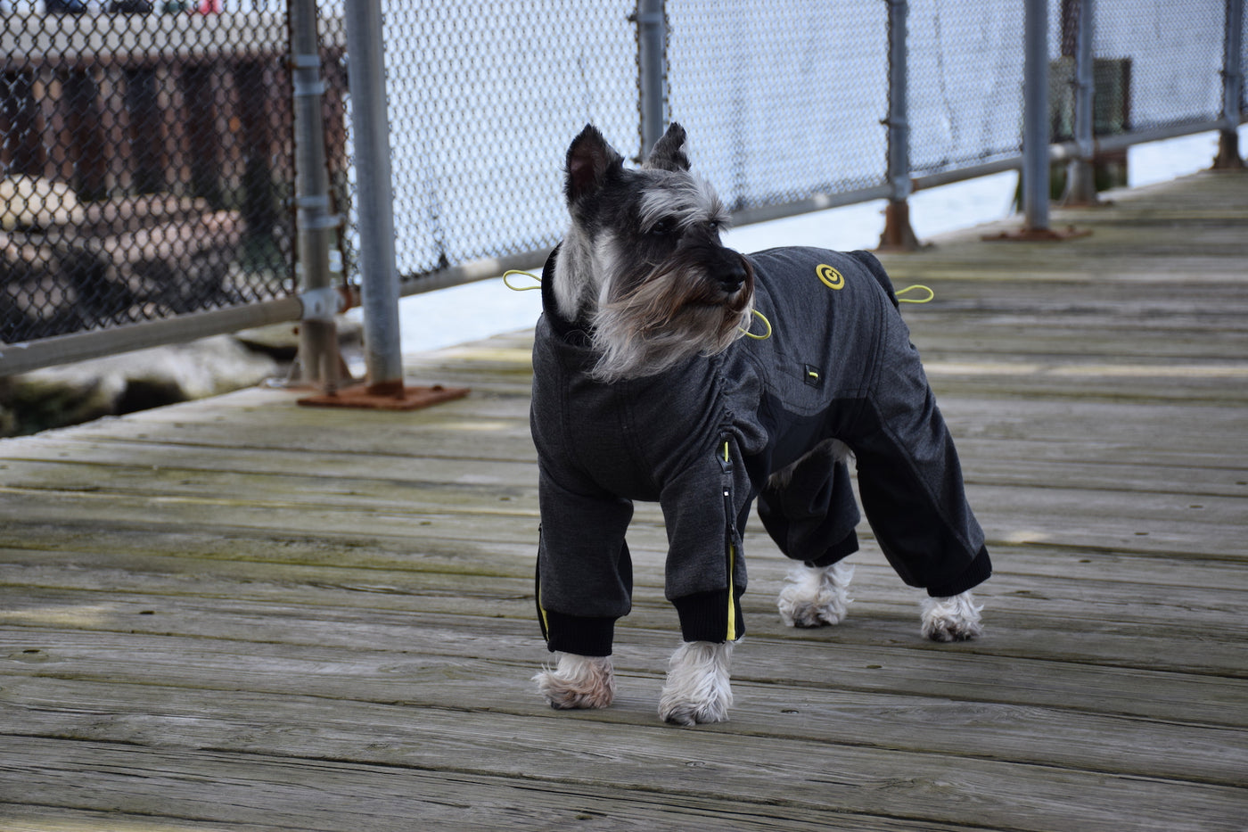 Cozy Dog Body Suit