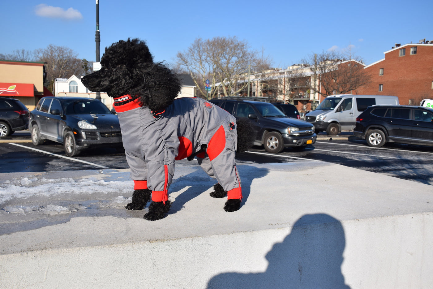 Zippy Full Body Suit for Dogs