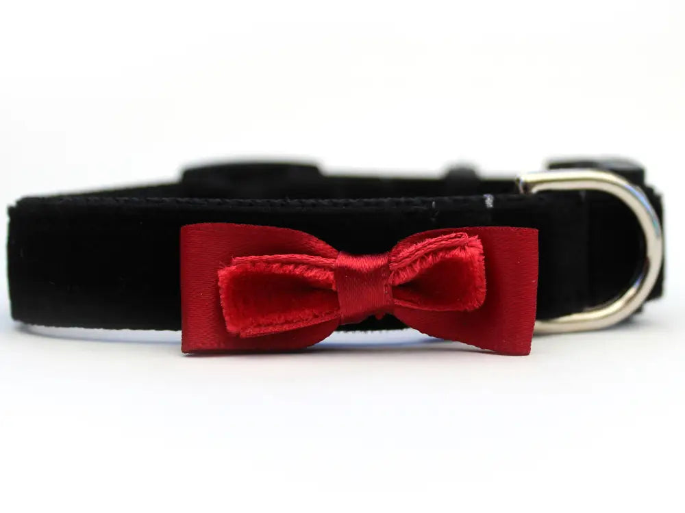 Black with Red Bow - Velvet Cat Collar