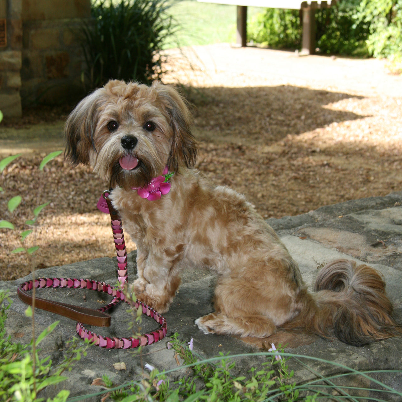 Shades of Pink Leather Dog Leash