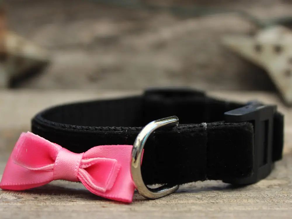 Black with Pink Bow - Velvet Cat Collar