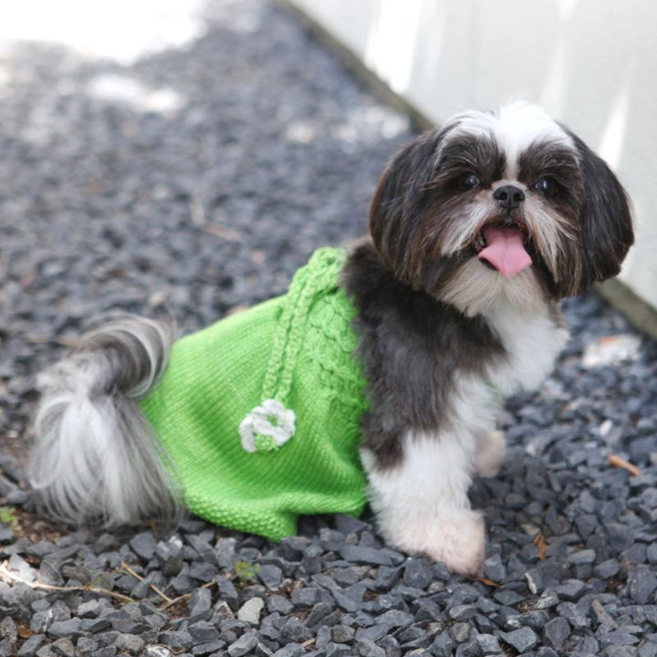 Daisy Green Hand Knit Sweater Dog Dress