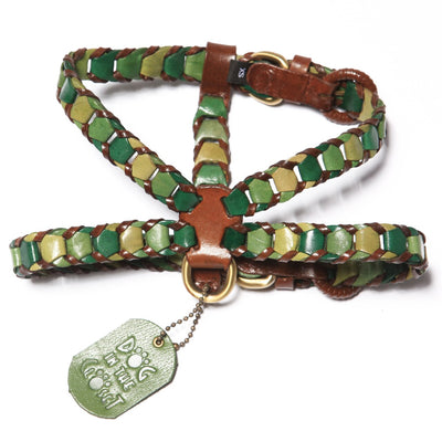 Shades Of Green Leather Dog Harness