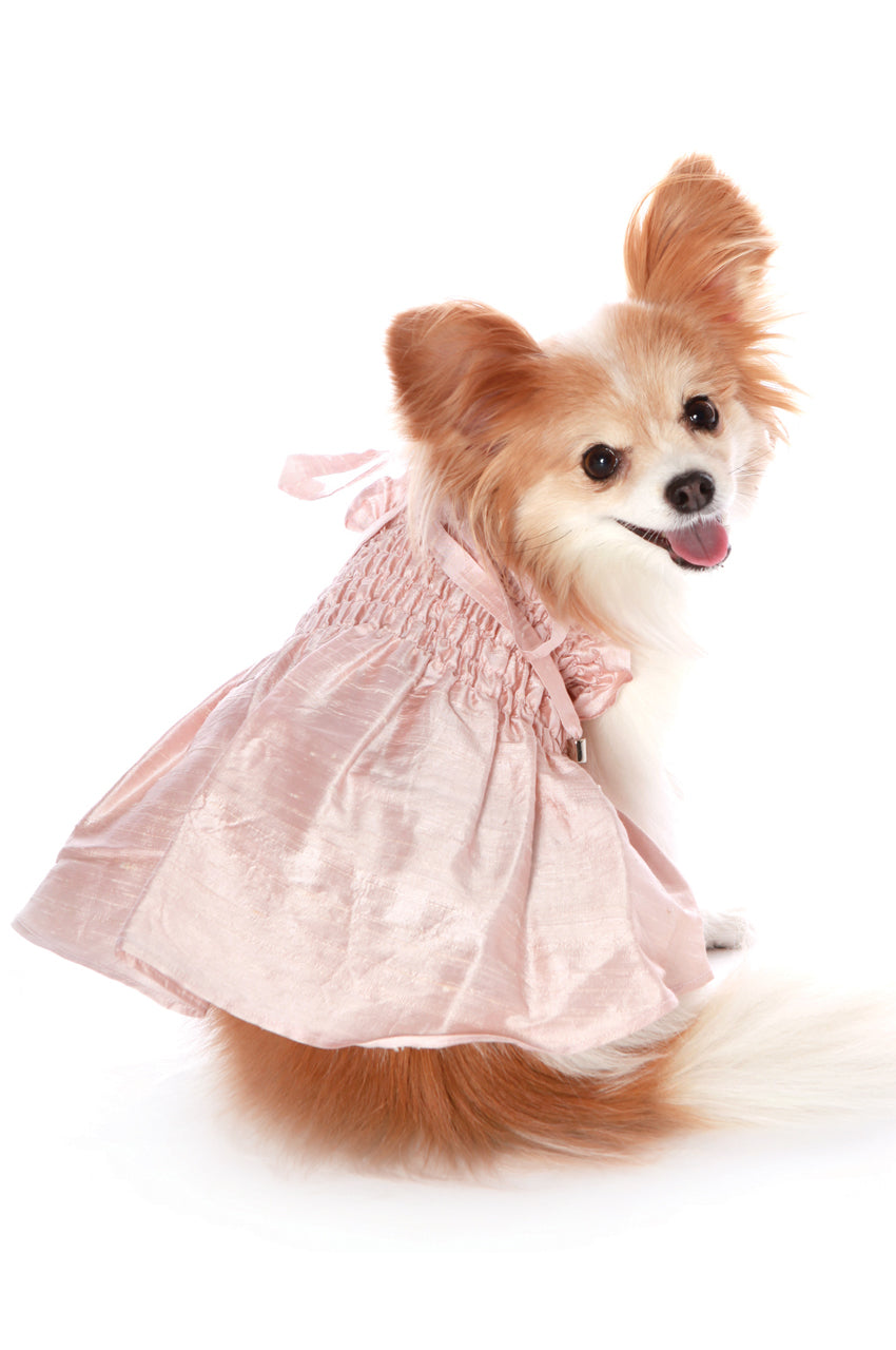 Izabelle Dog Dress