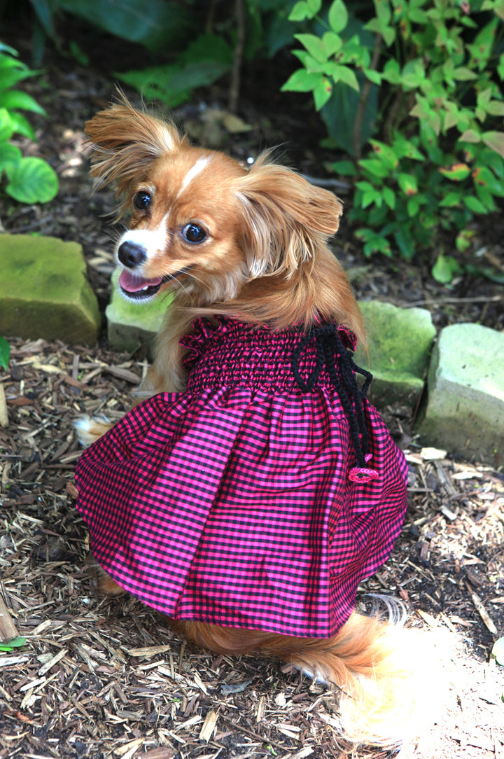 Lanna Fuchsia Checked Silk Dog Dress with Crochet Trim