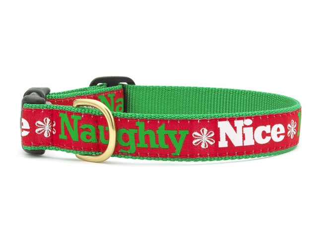 Naughty And Nice Dog Collar