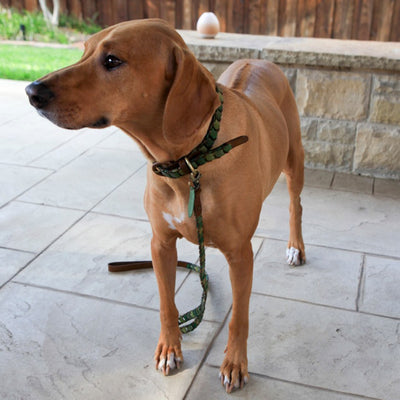 Shades of Green Leather Dog Leash