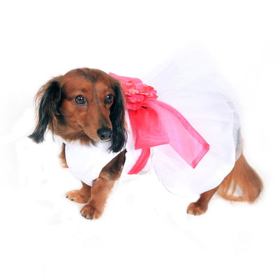 Madeleine Dog Dress with flower