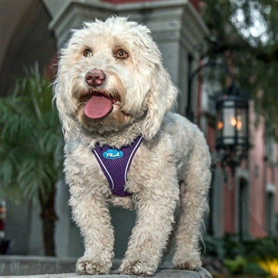 Purple Plush Step In Vest Air-Mesh Harness