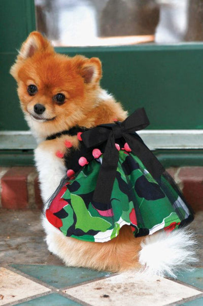 Sasha Dog Dress